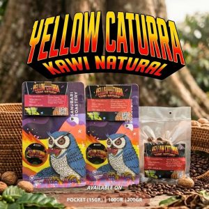 Arabika Kawi Yellow Catura Natural