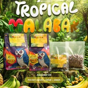 Arabika Tropical Malabar Honey Fermetation