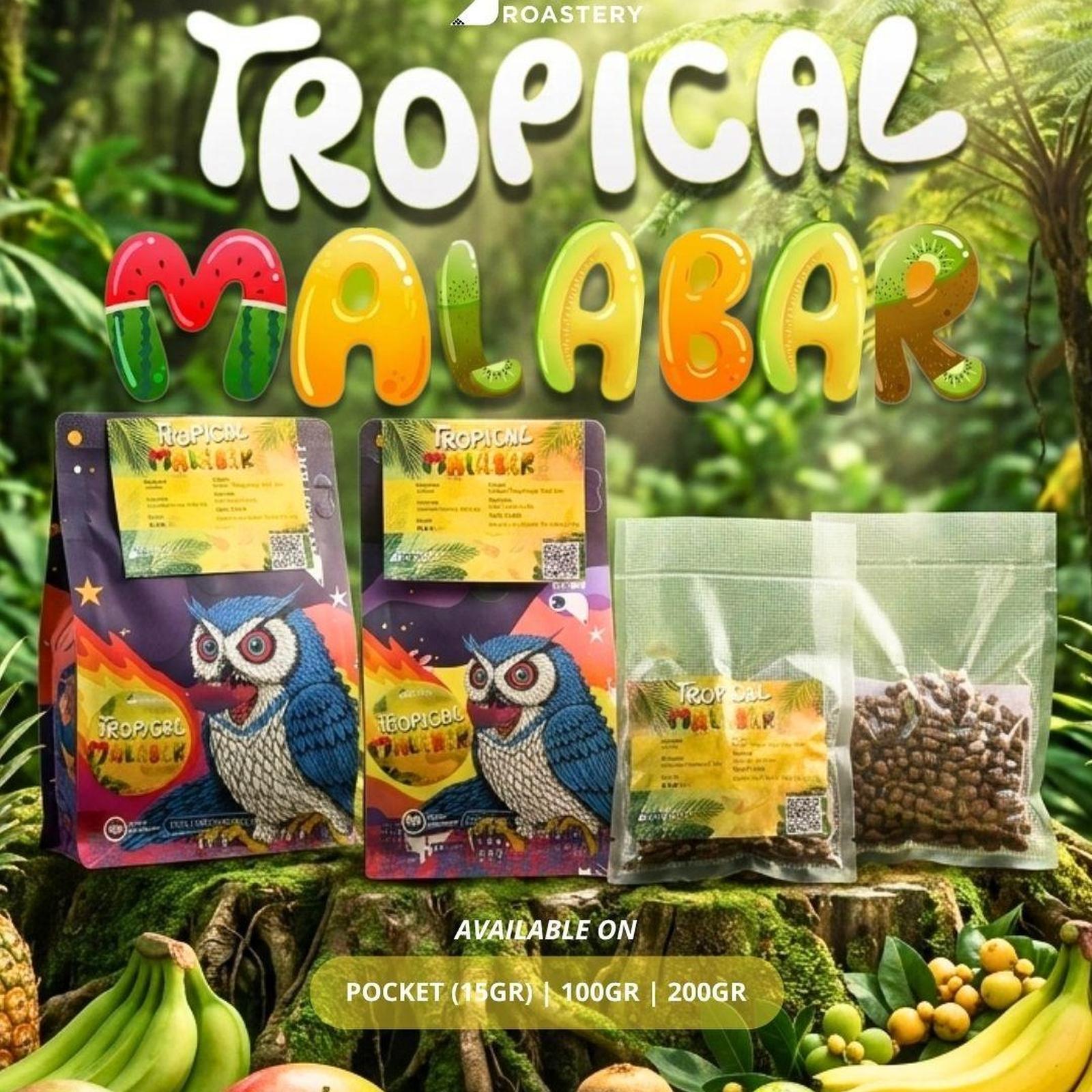 Arabika Tropical Malabar Honey Fermetation